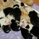 Litters: Peewee and Gwen - Pups are born