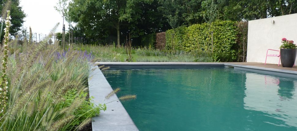 natuurlijk zwembad Boxmeer1