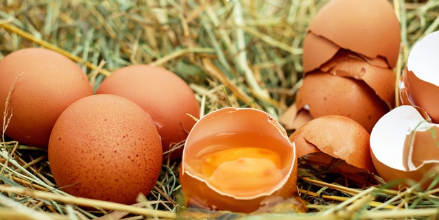 Eieren in nest | Mijn Keus
