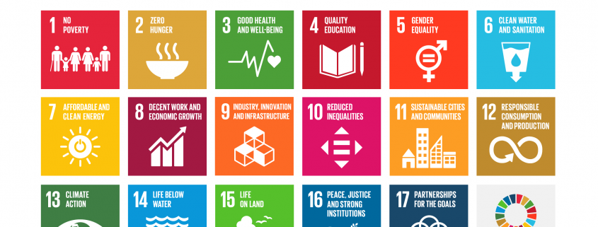 overzicht van Sustainable Development Goals - SDGs | Mijn Keus