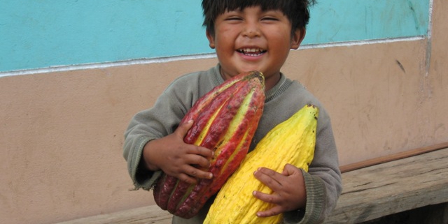 Chocolate Makers | vrolijk indianenkind met grote cacaobonen