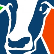 Partij Helder - logo koe | Partij Helder
