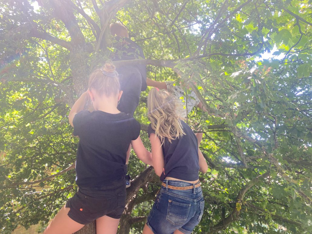 Drie kinderen klimmen in een boom vol bladeren. De zon schijnt door de takken. De kinderen dragen shorts en donkere shirtjes. Twee kinderen, met lange blonde haren, zitten onderin de boom. De derde is hoger geklommen, je ziet zijn gezicht niet meer.