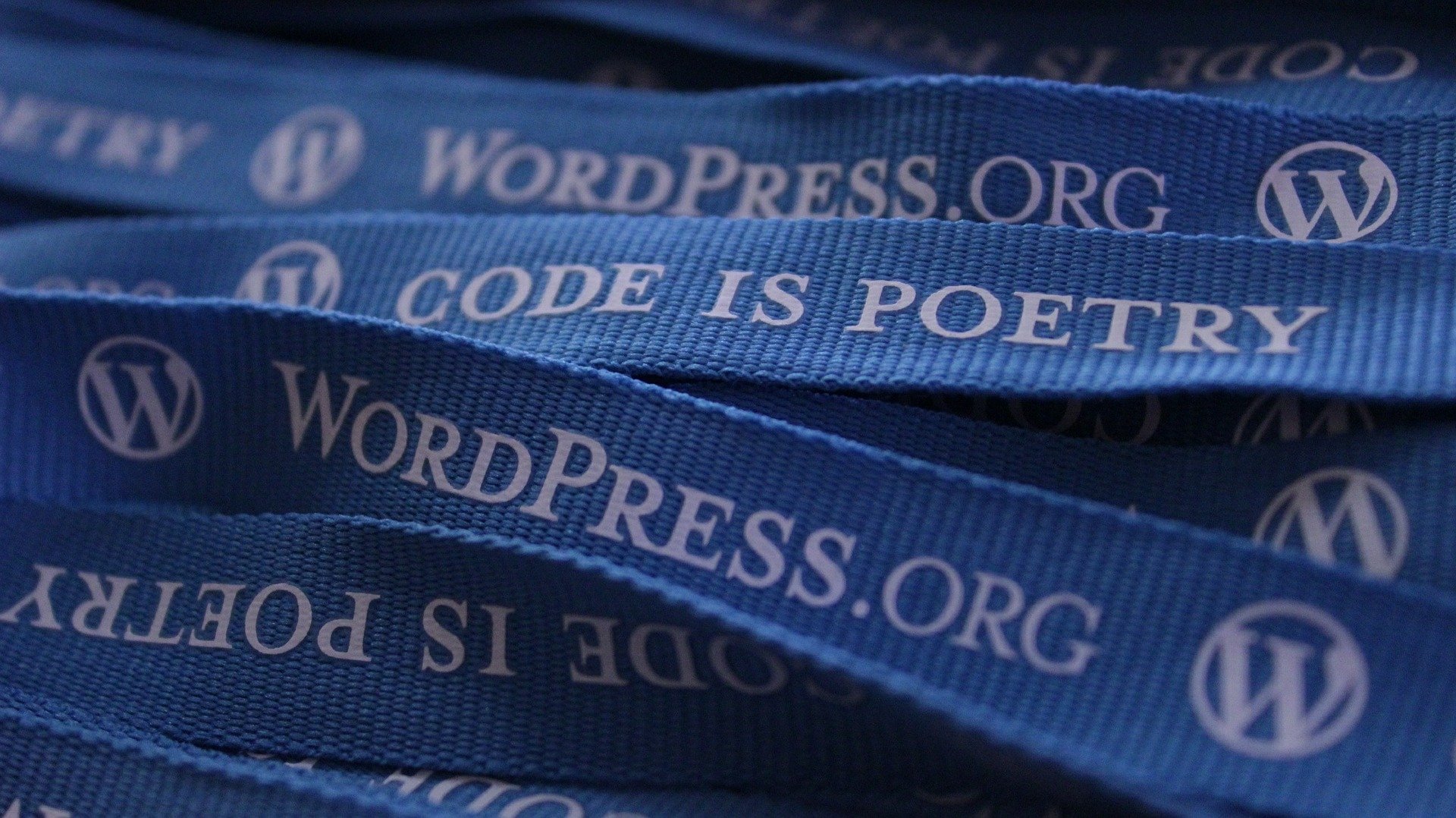WordPress plugins cms website installeren Alexander Gounder
