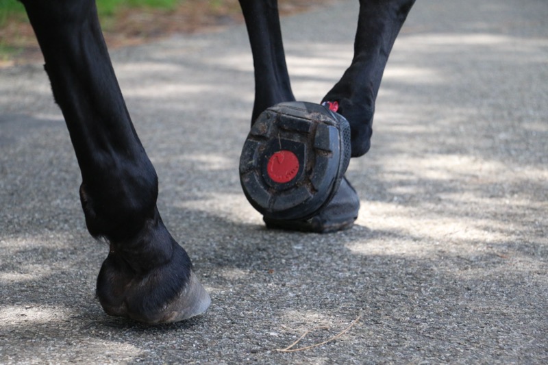 Riding with hoof boots